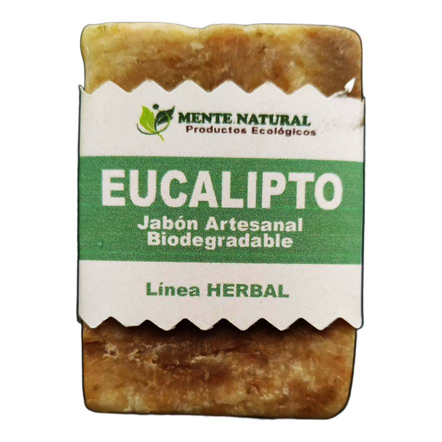 Jabon Eucalipto 1